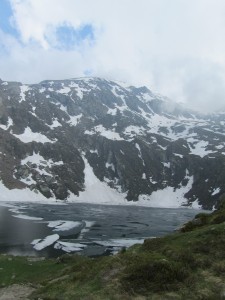 IMG_1170